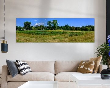 Panorama allemand : Étang dans le paysage d'or