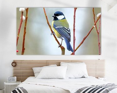 Aperçu de la chambre