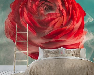 Red ranunculus enveloped in a hint of smoke by Marjolijn van den Berg