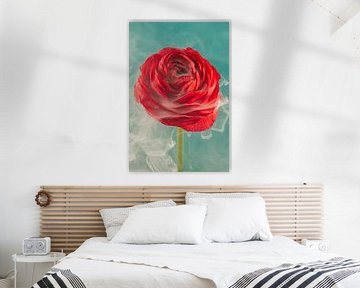 Rote Ranunkel, umhüllt von einem Hauch von Rauch