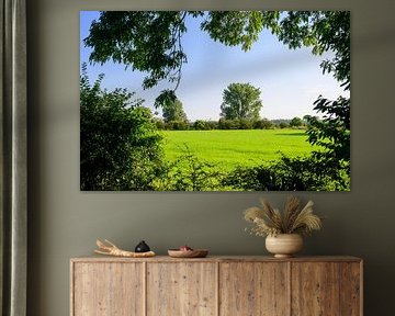 Limburgs Doorkijkje: Zomer in Bergen van Kristof Leffelaer