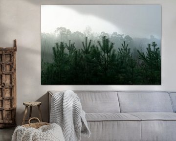 Un paysage brumeux avec un soupçon de verdure sur Anniek Snoeijs