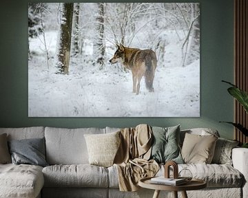 Loup dans la neige sur Gea Veldhuizen