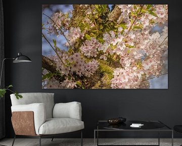 Blütentrauben entlang des Stammes von kiekjes & kunst