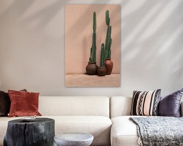 Cactus en pot devant un mur rose | photographie de voyage | Sri Lanka