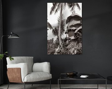 Maison dans les arbres avec palmier en sépia | photographie de voyage | Bali Indonésie