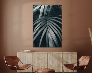 Feuilles de palmier dorées | photographie de voyage | Inde