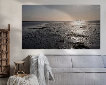 Dew walking on the Wadden Sea