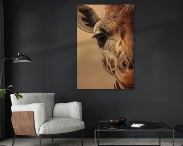 Giraffe Nahaufnahme im Detail Soft Gaze und Textur von Eva Lee