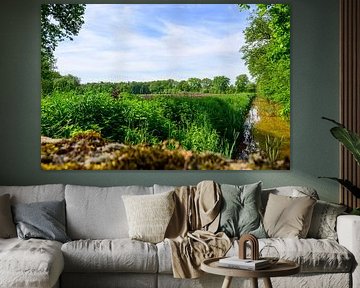 Spring in the Kempen: stream landscape in Rijkevorsel by Kristof Leffelaer