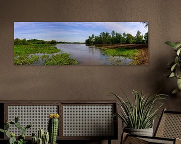 Panorama: Bird breeding ground in the Antwerp Kempen region by Kristof Leffelaer
