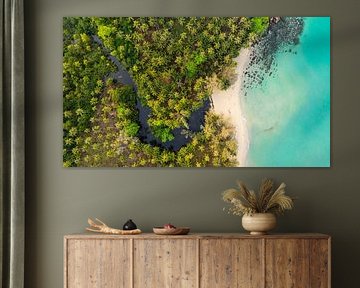 Côte tropicale de la Thaïlande - Forêt de palmiers et mer turquoise vue du ciel sur Ewold Kooistra