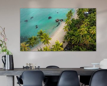 Paradis de la plage tropicale - Palmiers et mer turquoise vus du ciel sur Ewold Kooistra