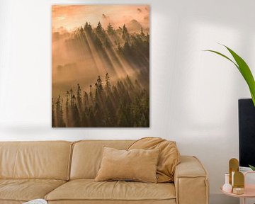 Sunbeams through the Morning Mist by Ewold Kooistra