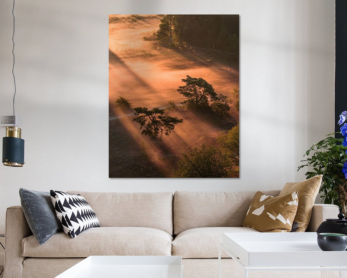 Voorbeeld van het werk in een kamer