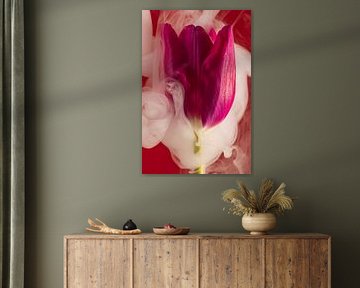 Rot mit fuchsienrosa Tulpe: Von Rauch umhüllt