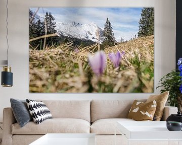 Frühlingshafte Berglandschaft im Wettersteingebirge mit grünen Wiesen und markanten Gipfeln. von Miriam Schwarzfischer Fotografie