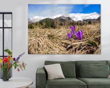 Frühlingshafte Berglandschaft im Wettersteingebirge mit grünen Wiesen und markanten Gipfeln. von Miriam Schwarzfischer Fotografie
