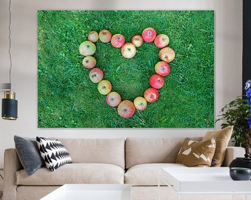 Appelhart op een groene weide