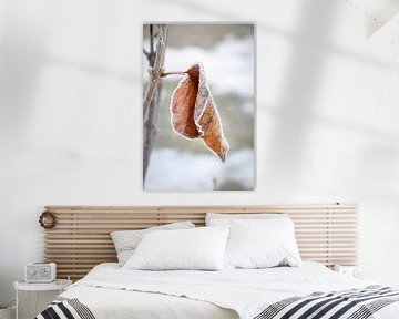 Berghütte bei Brixen, Italien. von Aukelien Philips