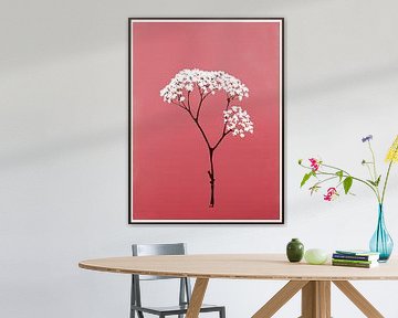 Sakura in der Stille von Thea