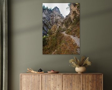 Chute d'eau s'écoulant dans les gorges de Gleiersch près de Scharnitz dans les Alpes autrichiennes. sur Miriam Schwarzfischer Fotografie