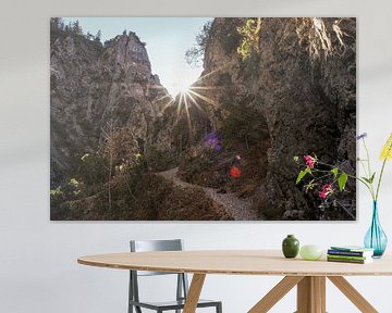 Chute d'eau s'écoulant dans les gorges de Gleiersch près de Scharnitz dans les Alpes autrichiennes. sur Miriam Schwarzfischer Fotografie