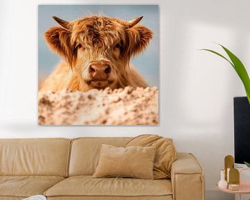 Porträt Highlander-Rind von Vlindertuin-Art