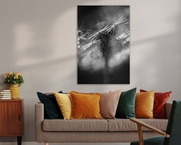 Fluff von Elke van Putten