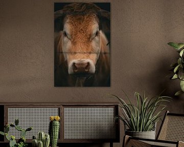 Eye to Eye by GIF STUDIO