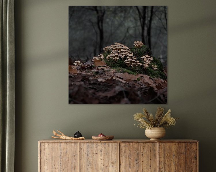 Aperçu de la chambre