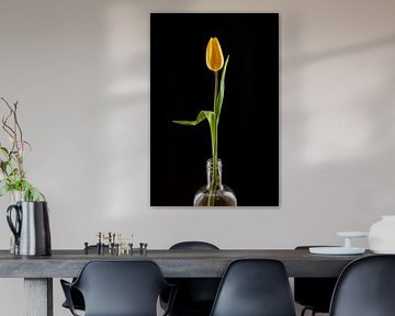 Gelbe Tulpe in einer Flasche, Stille und Einfachheit von Dennis Lieffering