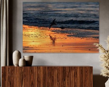 Flight over Golden Water by Sebastian Stef