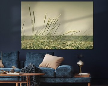 dune grass by Denis Feiner