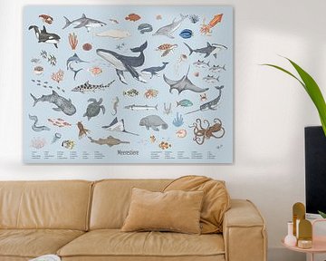 marine animals by Marion Lesnik