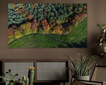 Tilburgs Wald | Herbst