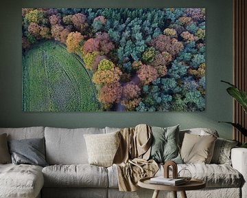 Tilburgs Wald | Herbst #2