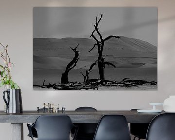 DEADVLEI 3 by Miroslav Ptacek