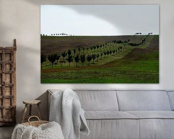 MÄHREN 2 von Miroslav Ptacek