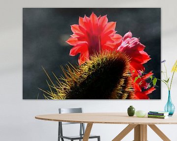 BLUMENTRÄUME 7 von Miroslav Ptacek