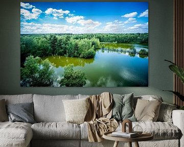 Spiegelnder See im Grünen von Ivonne Fuhren-van de Kerkhof