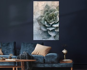 Echeveria Rosette von Lauren Wilde