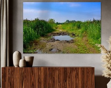 Sentier de randonnée De Vilt : reflet dans le Brabantse Wal