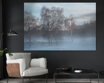 Trees by Myrthe Vlasveld