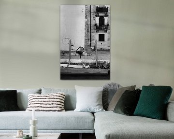 Stillleben im Wasser