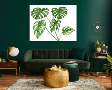 Monstera in the room of silence