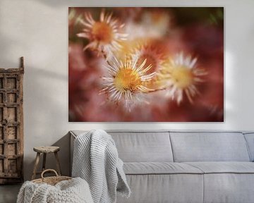 Bloemenreigen, digitale kunst