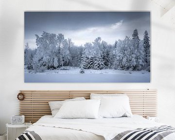 Ambiance hivernale au Langer Teich dans le Harz sur Steffen Henze