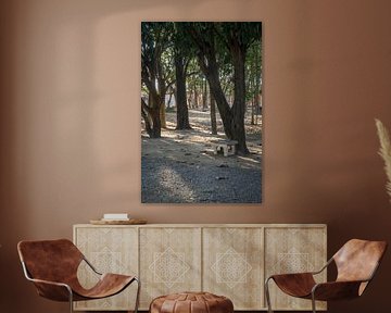 Resting place under trees by Minimalistic Travel Photography by.Rieneke