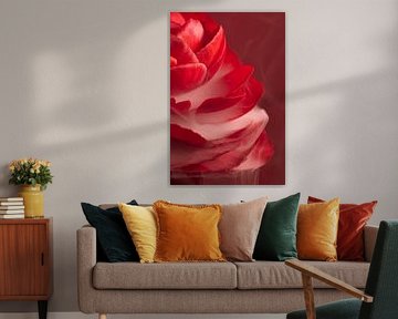 Rote elegante Blume mit zartem weißem Rauch von Marjolijn van den Berg